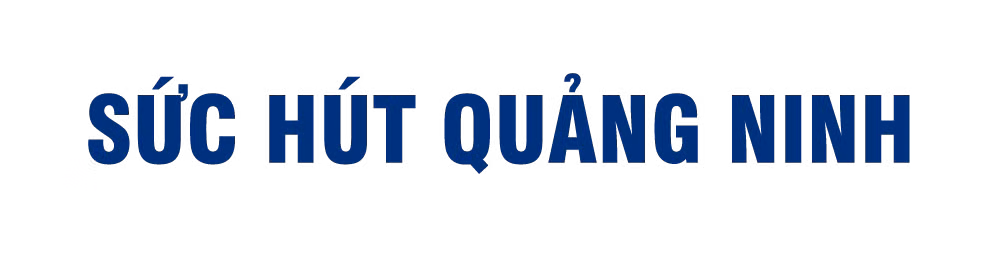 Những dự án vượt "bão" Covid ảnh 3