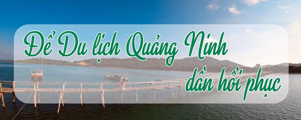 Phục hồi du lịch Quảng Ninh: An toàn, linh hoạt, hiệu quả ảnh 8