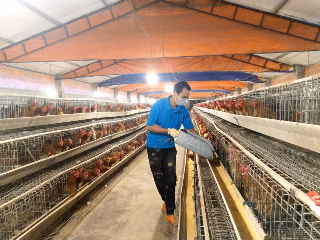 Để nhân dân được hưởng tiêu chí của hạnh phúc ảnh 6