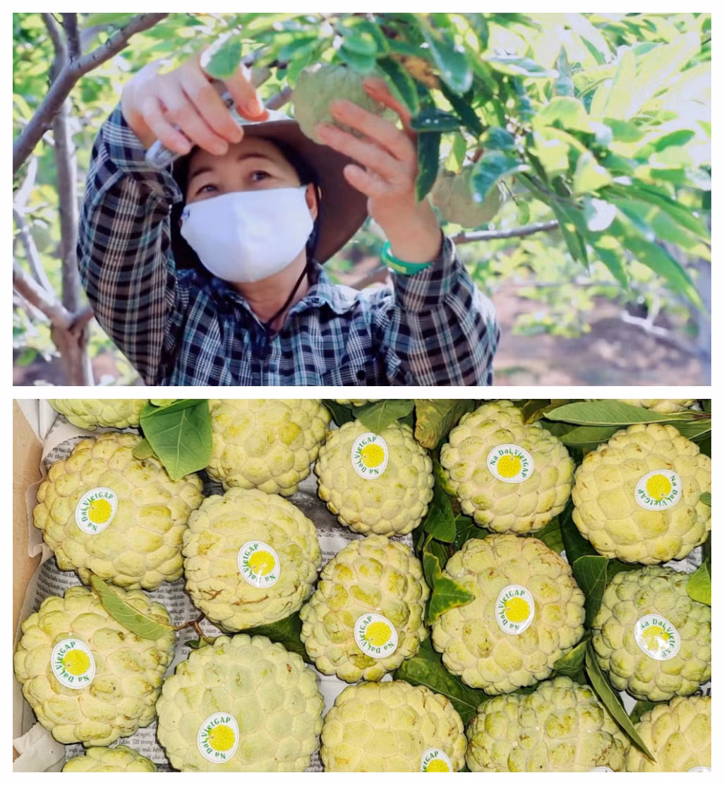 Ảnh với chú thích