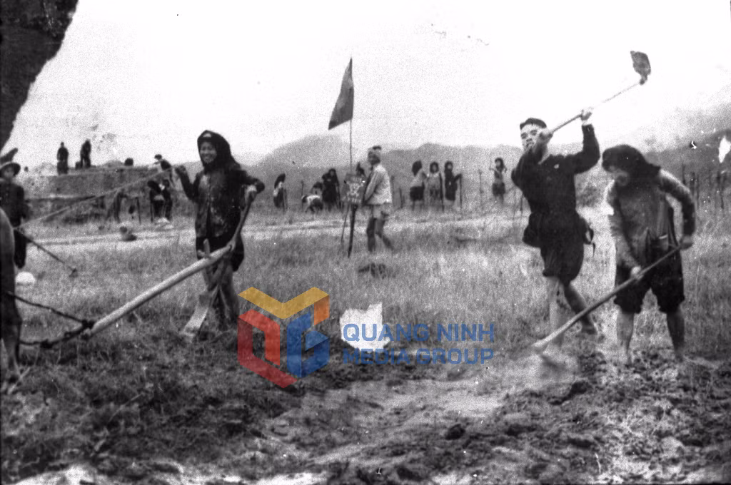 Nhân dân vùng mỏ vỡ hoang tăng diện tích gieo trồng. Ảnh: Tư Liệu