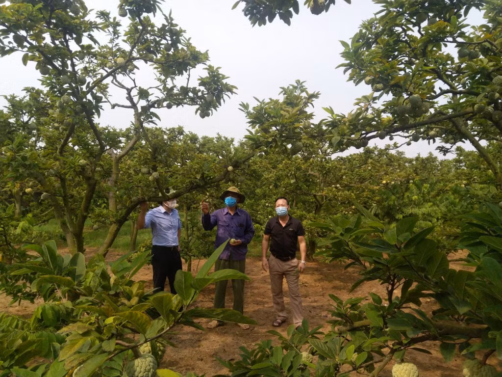 Nông thôn mới: Chỉ có điểm khởi đầu, không có điểm kết thúc ảnh 9