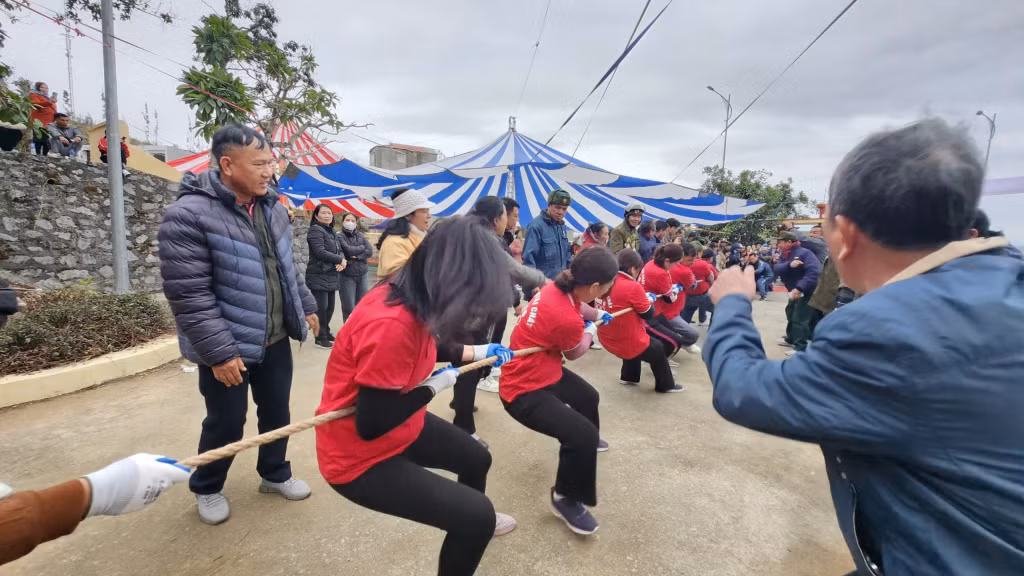 Ảnh trong văn bản