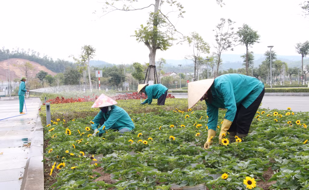 Nhân viên vệ sinh