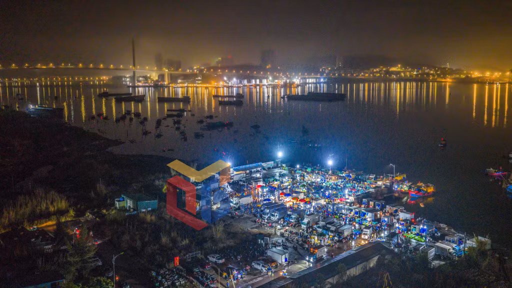 Chợ cá đầu mối nằm trên địa bàn phường Cao Xanh hoạt động nhộn nhịp nhất từ 2-7h sáng hằng ngày (2-2026). Ảnh: Đỗ Giang