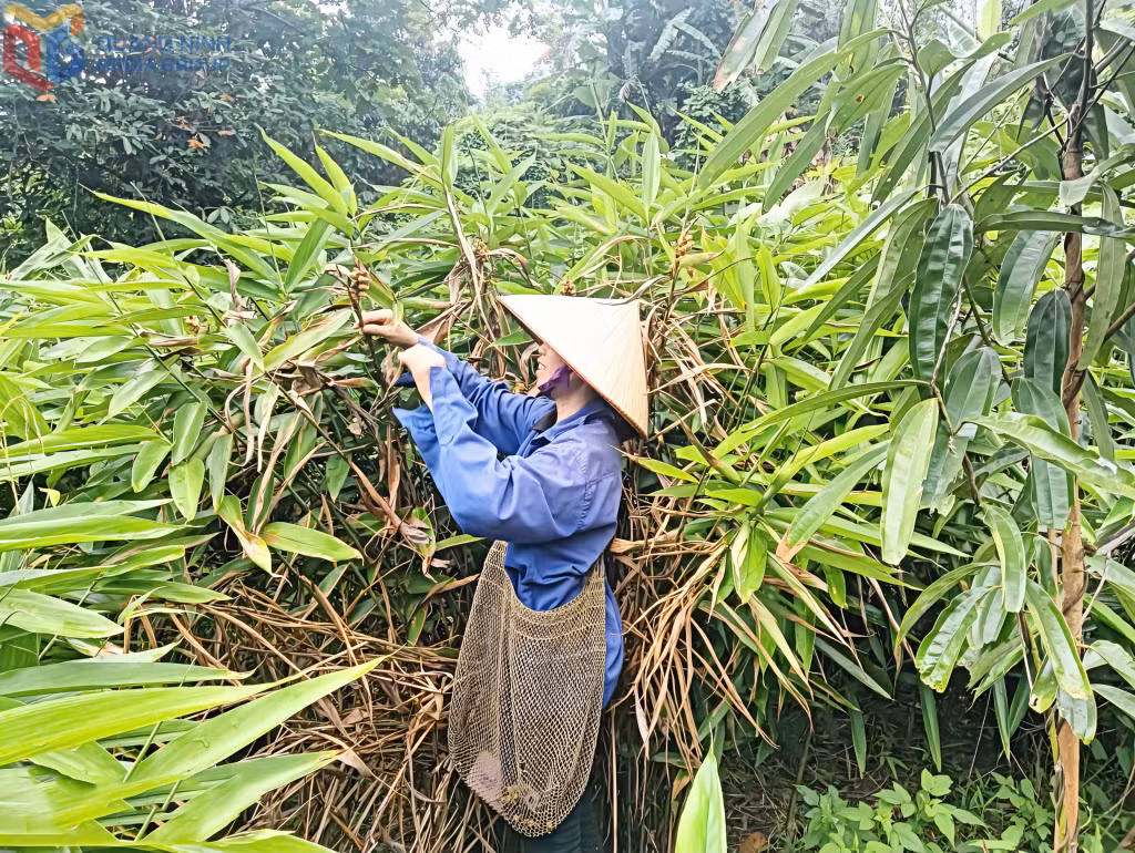 Ảnh với chú thích
