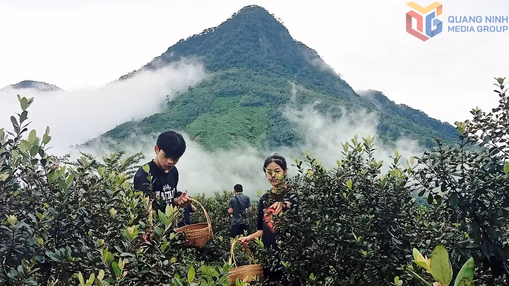 Ảnh với chú thích