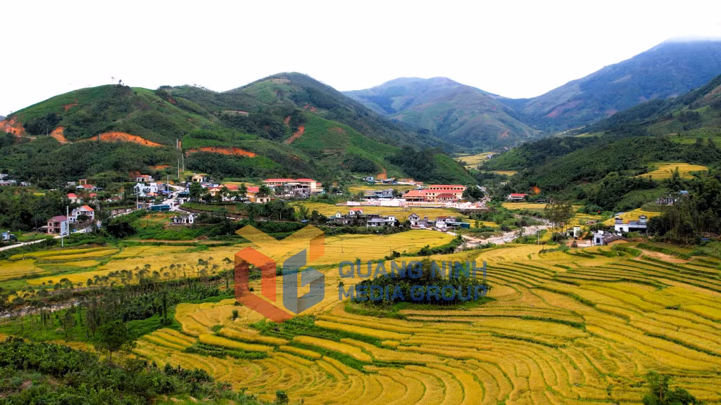 Đông Ngũ vào mùa đẹp nhất trong năm (11-2025). Ảnh: Mai Linh