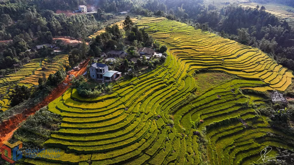 Ảnh với chú thích