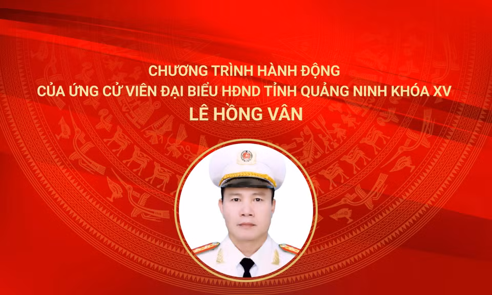 Cover Đại biểu