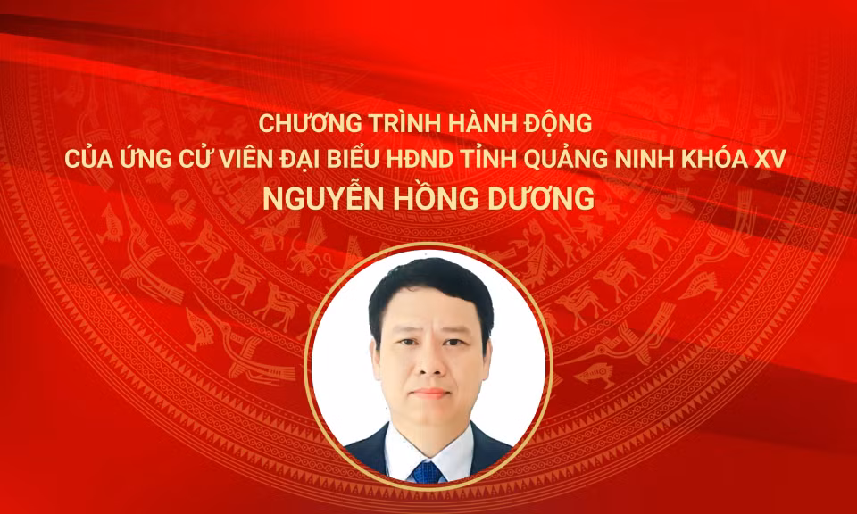 Cover Đại biểu