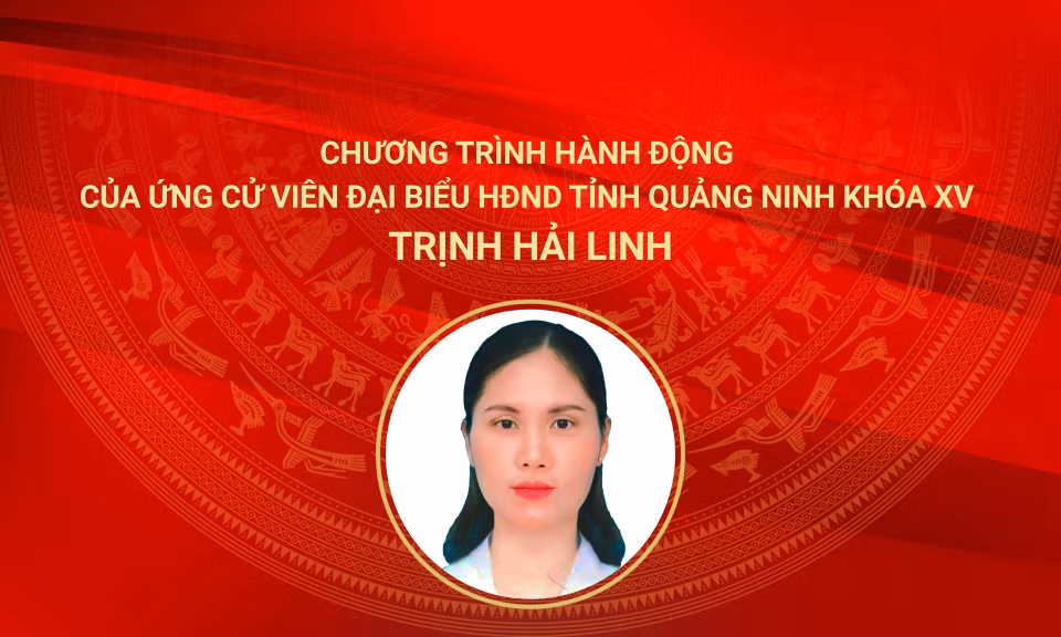 Cover Đại biểu