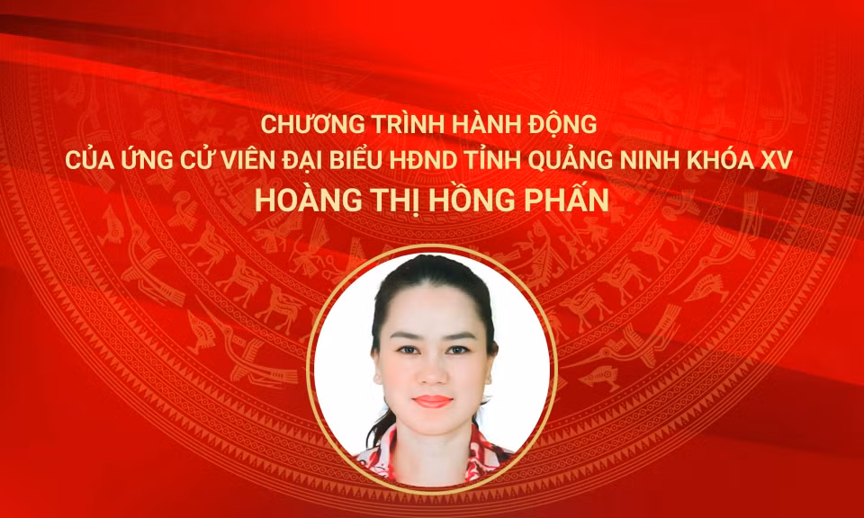 Cover Đại biểu