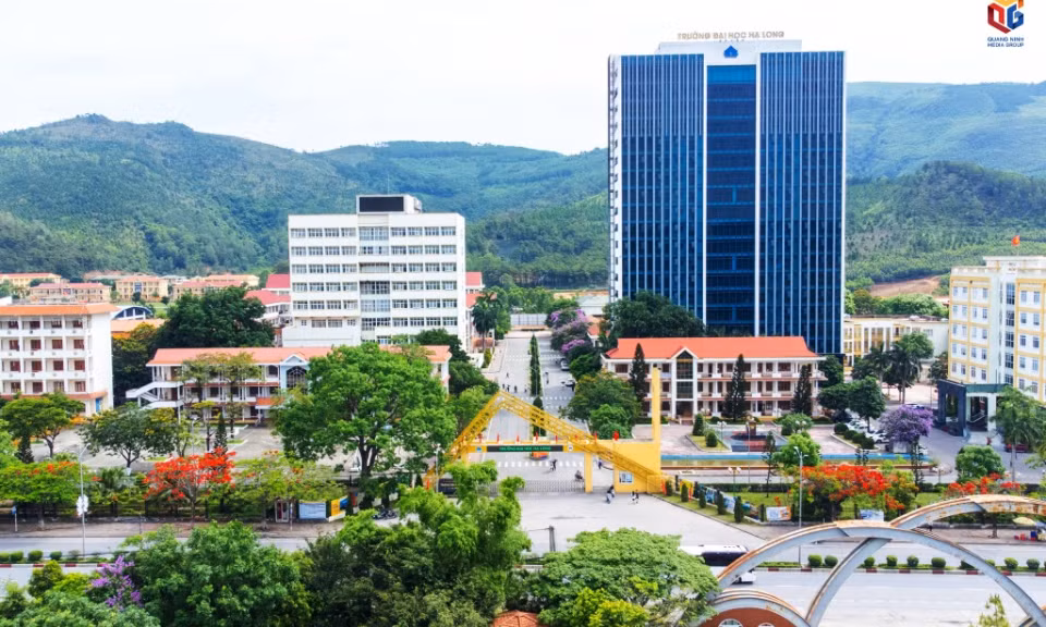 Ảnh trong văn bản