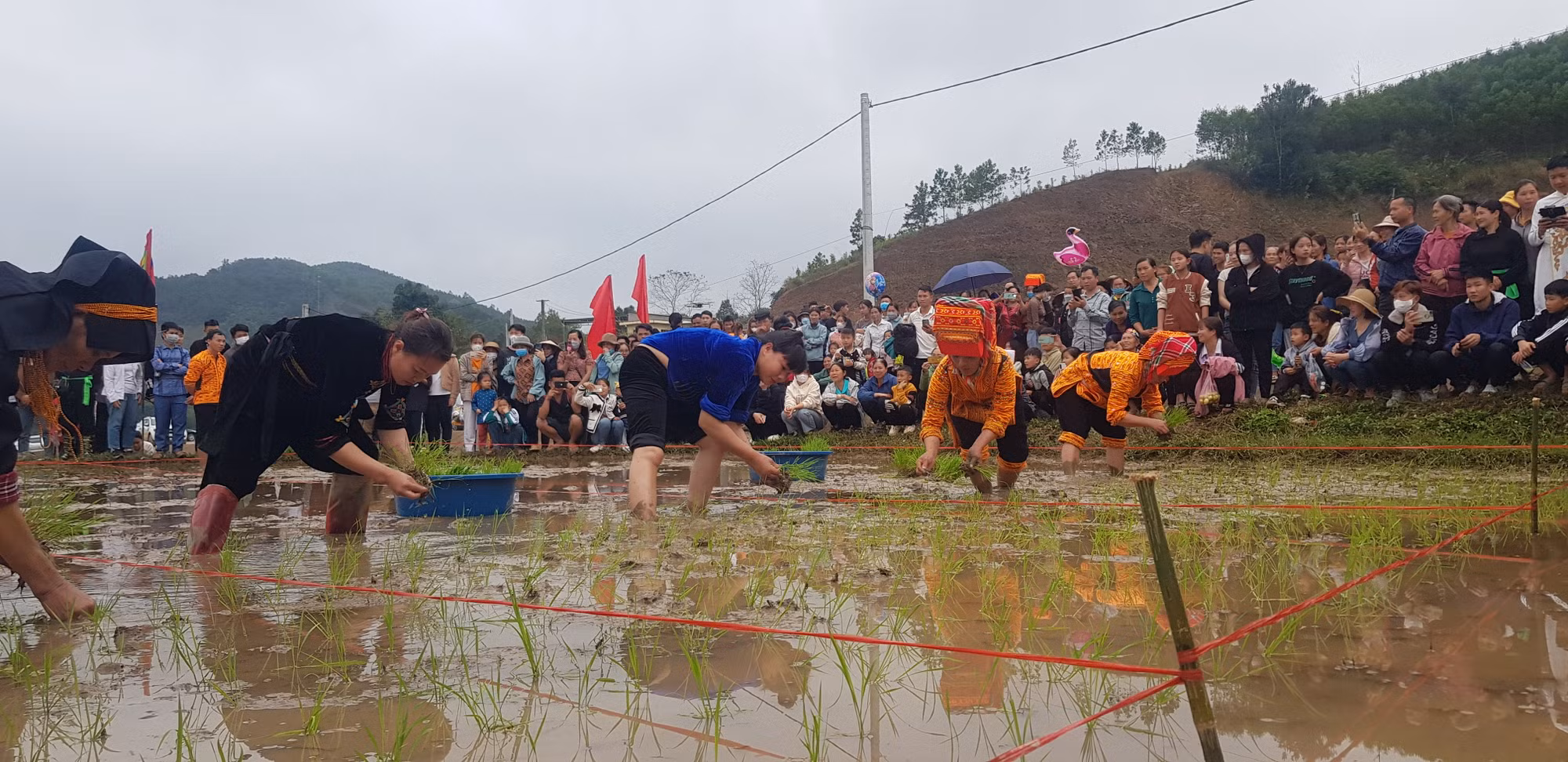 Ảnh với chú thích