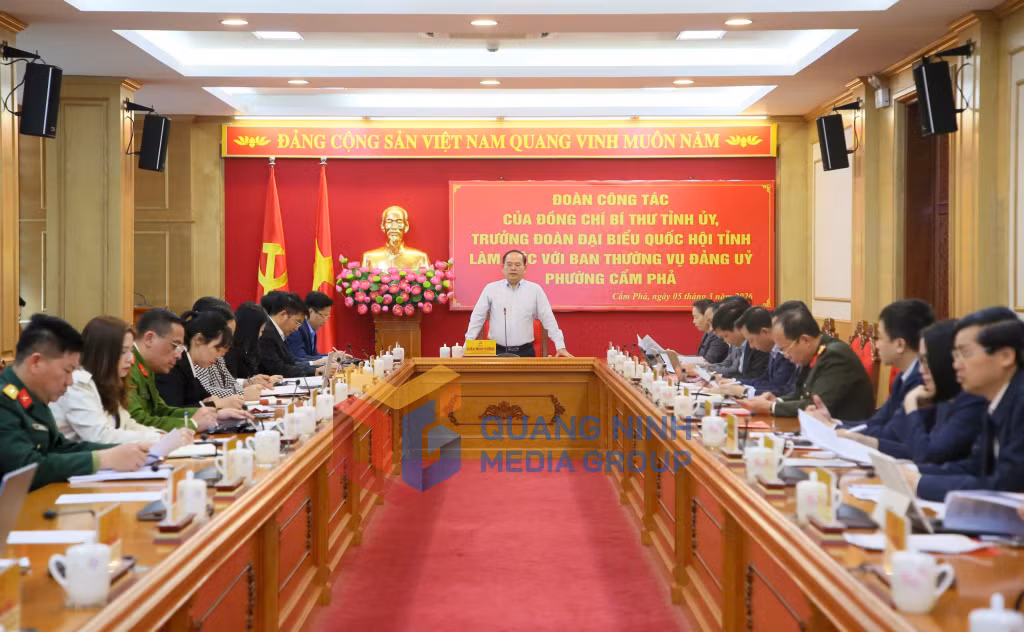 Quang cảnh buổi làm việc với phường Cẩm Phả (3-2026). Ảnh: Minh Hà