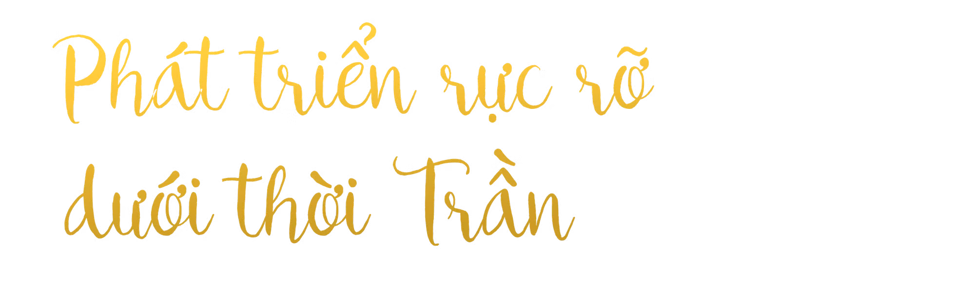 Ảnh trong văn bản