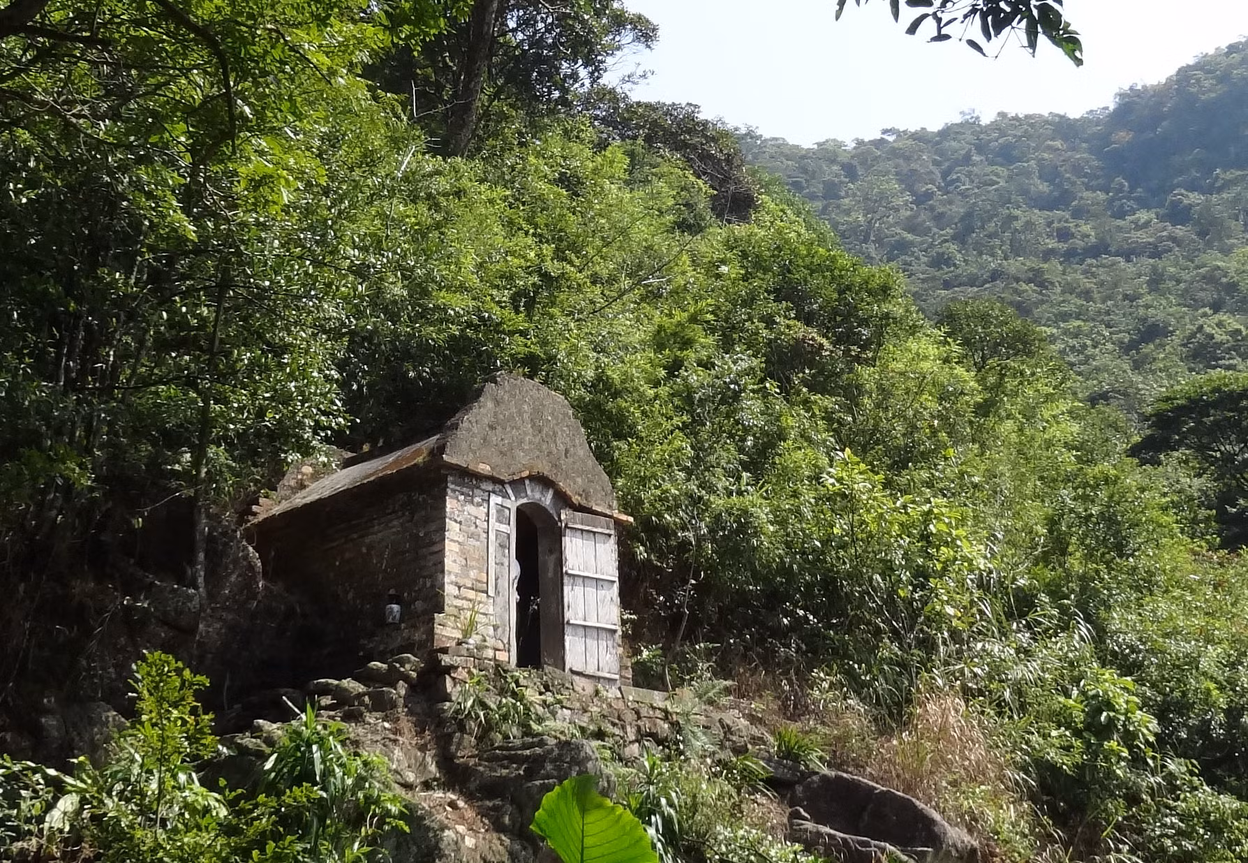 Ảnh trong văn bản