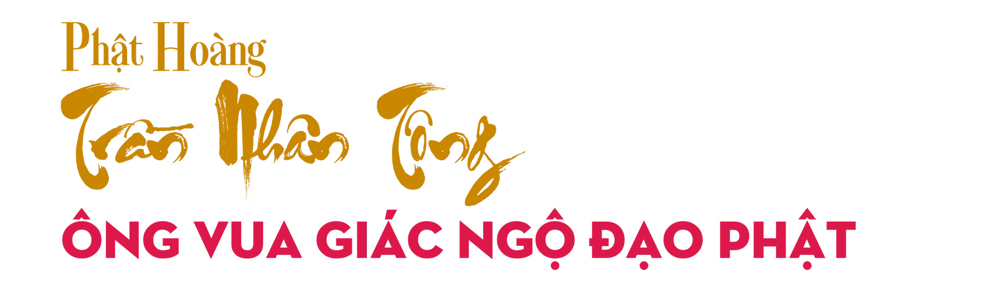 Ảnh trong văn bản