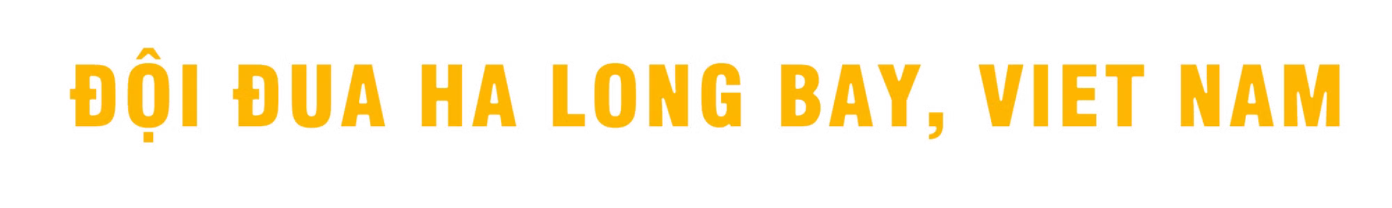 Ảnh trong văn bản