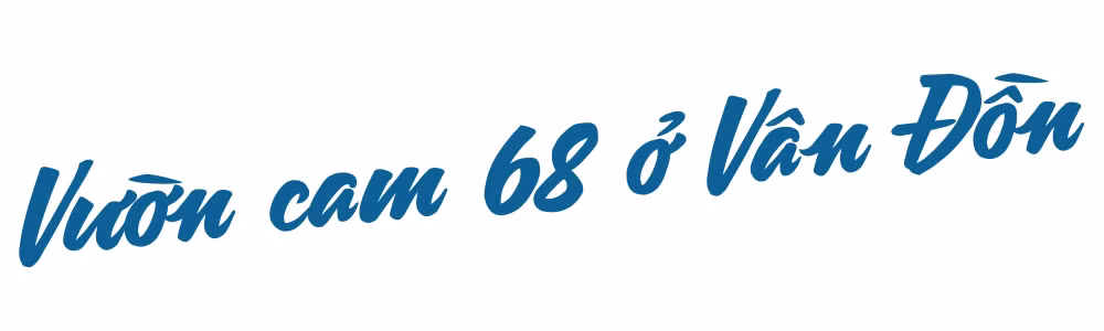 Ảnh trong văn bản
