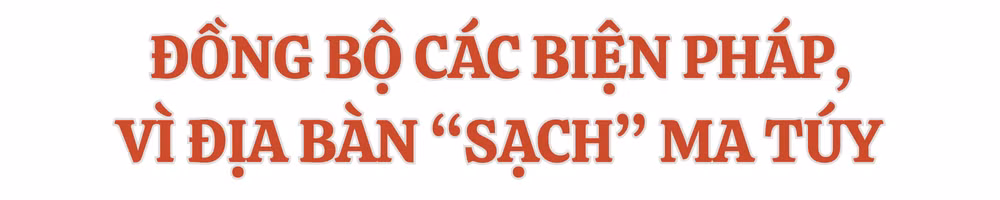 Ảnh trong văn bản