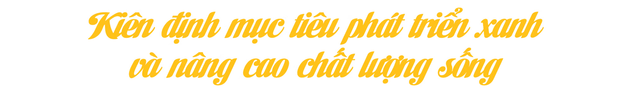 Ảnh trong văn bản