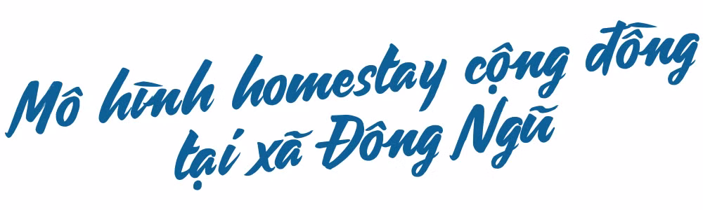 Ảnh trong văn bản