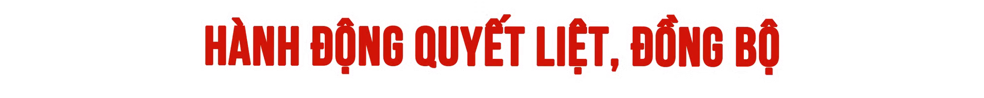 Ảnh trong văn bản