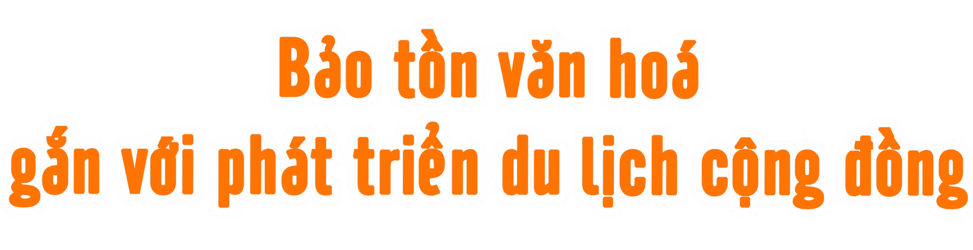 Ảnh trong văn bản