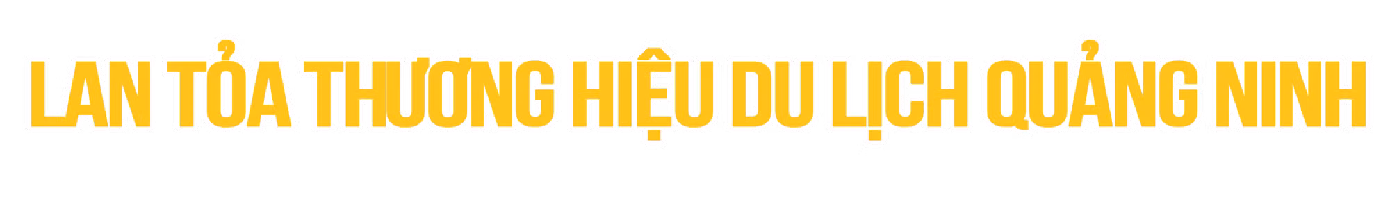 Ảnh trong văn bản