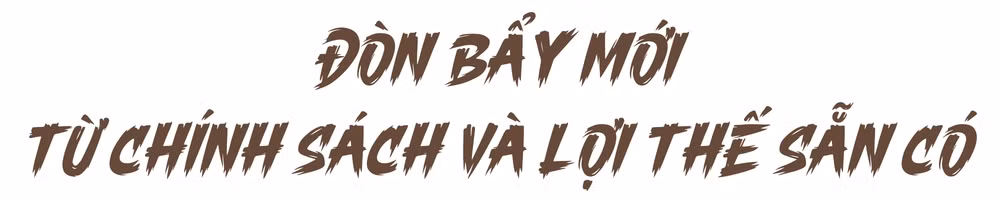 Ảnh trong văn bản