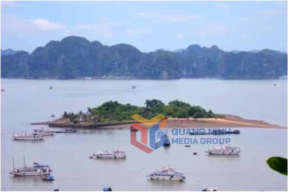 Đảo rều hoàng sơ trước đây. Ảnh: Tư liệu