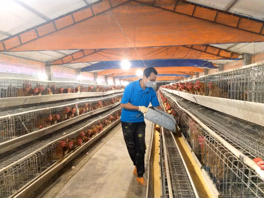 Nông thôn mới: Chỉ có điểm khởi đầu, không có điểm kết thúc ảnh 10