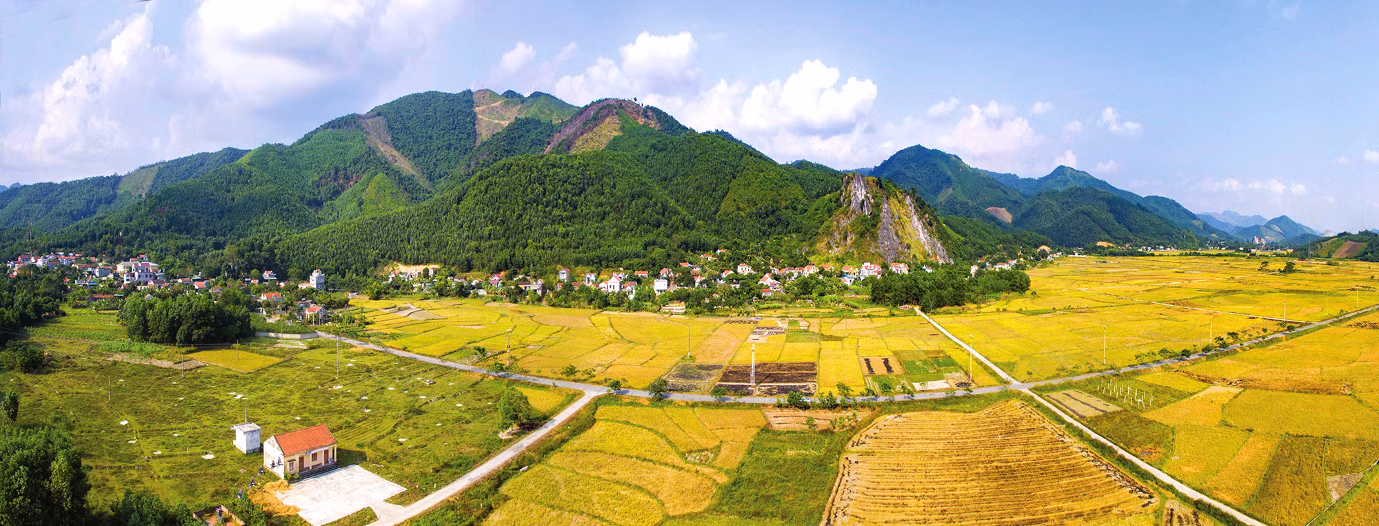Ảnh với chú thích
