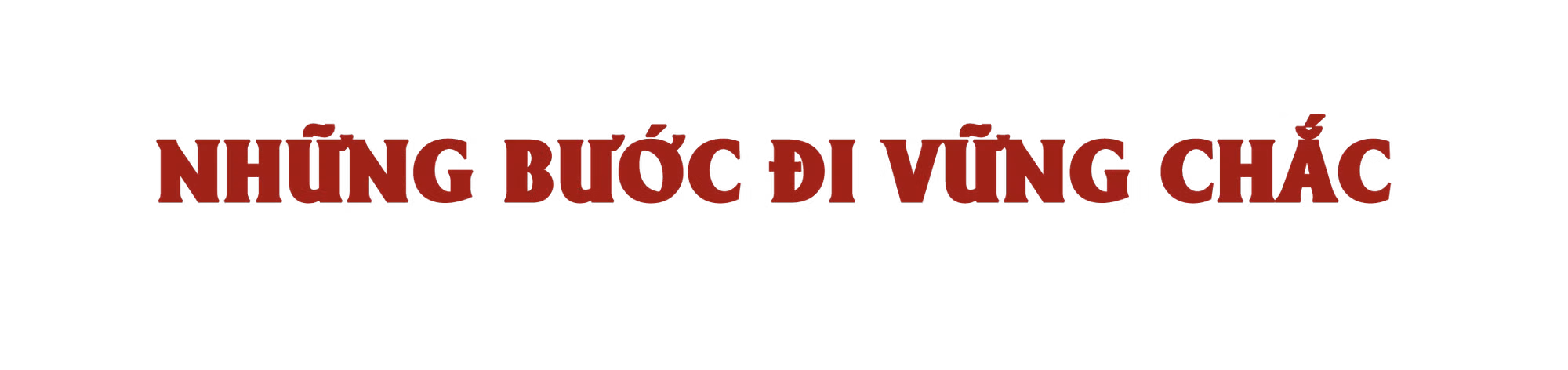 Ảnh trong văn bản