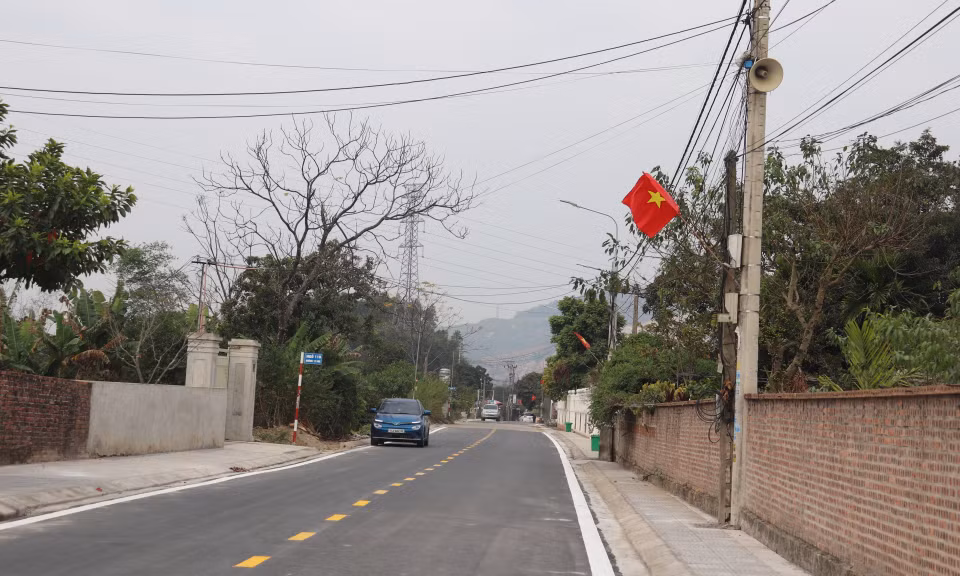 Ảnh trong văn bản