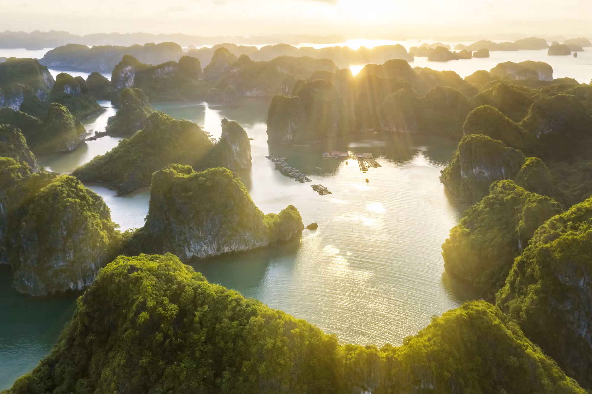 Ảnh trong văn bản