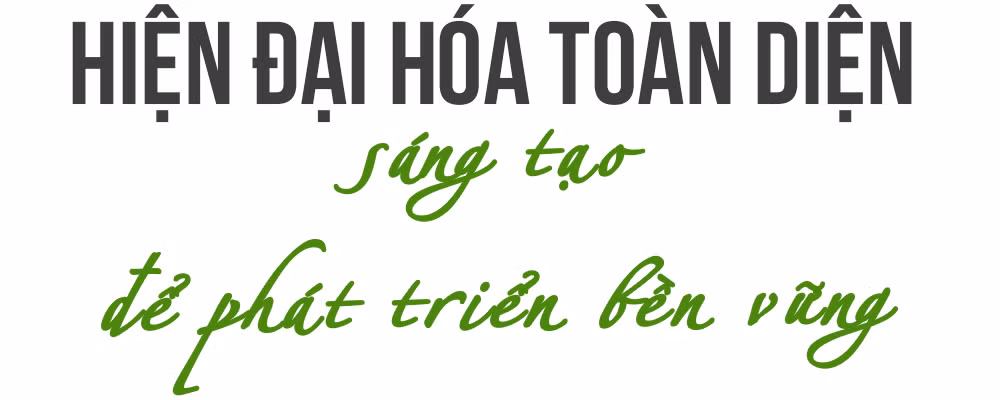 Ảnh trong văn bản