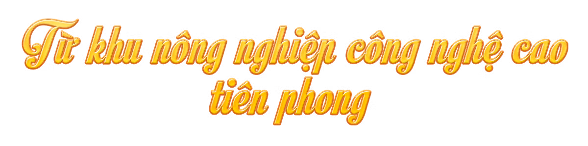 Ảnh trong văn bản
