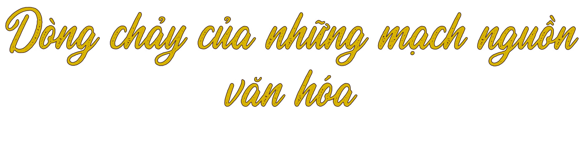 Ảnh trong văn bản