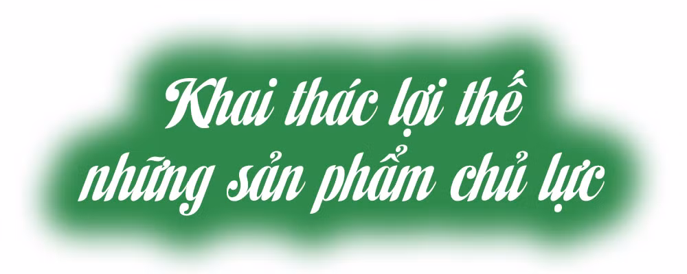 Ảnh trong văn bản