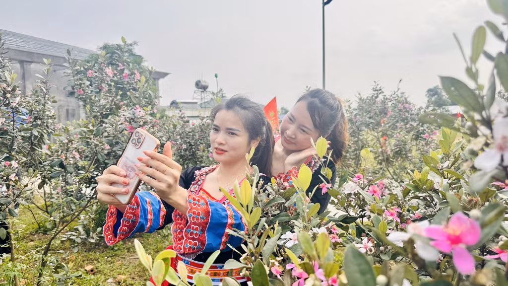 Ảnh với chú thích
