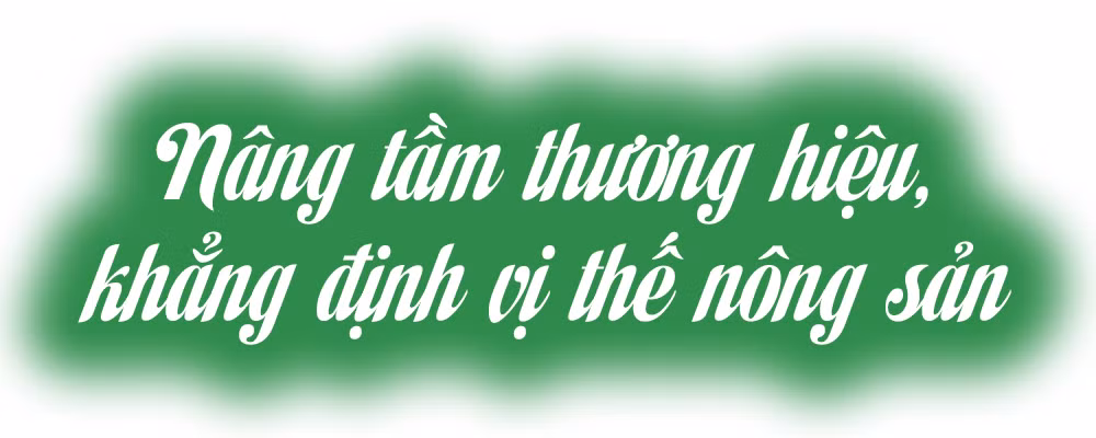 Ảnh trong văn bản