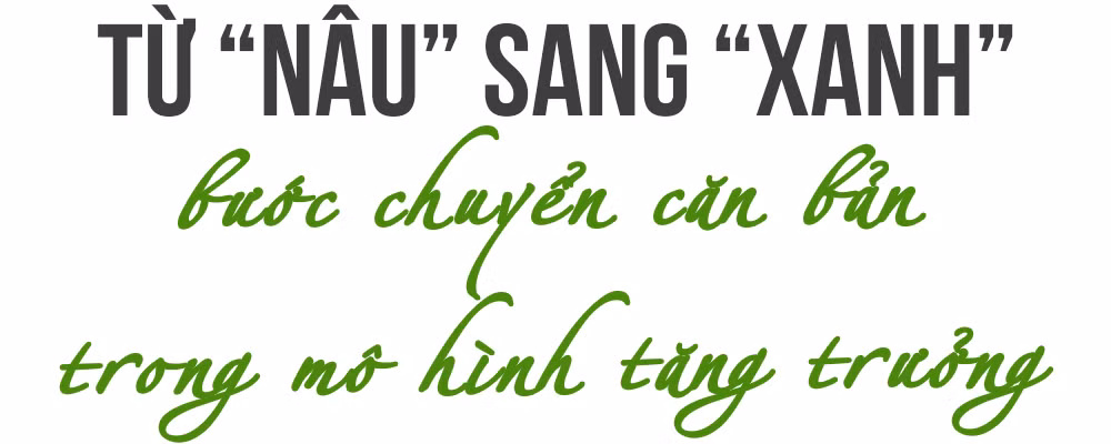Ảnh trong văn bản