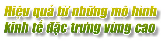 Ảnh trong văn bản