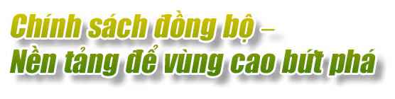 Ảnh trong văn bản