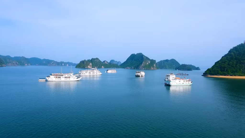 Trong dòng chảy khát vọng hùng cường của đất nước: “Phát triển xanh” - Lựa chọn của Quảng Ninh ảnh 9 Trong dòng chảy khát vọng hùng cường của đất nước: “Phát triển xanh” - Lựa chọn của Quảng Ninh ảnh 9