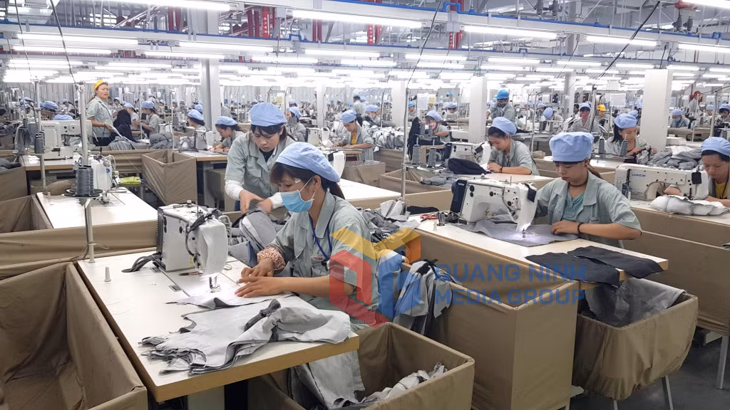 Sản xuất quần áo tại Công ty TNHH May mặc Hoa Lợi Đạt (Việt Nam) tại KCN Texhong Hải Hà (5-2018). Ảnh: Thái Cảnh