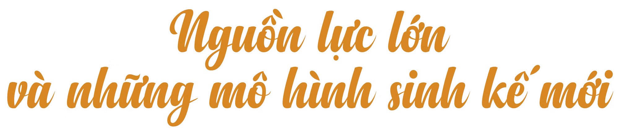 Ảnh trong văn bản